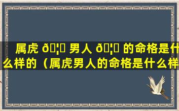 属虎 🦍 男人 🦟 的命格是什么样的（属虎男人的命格是什么样的呢）